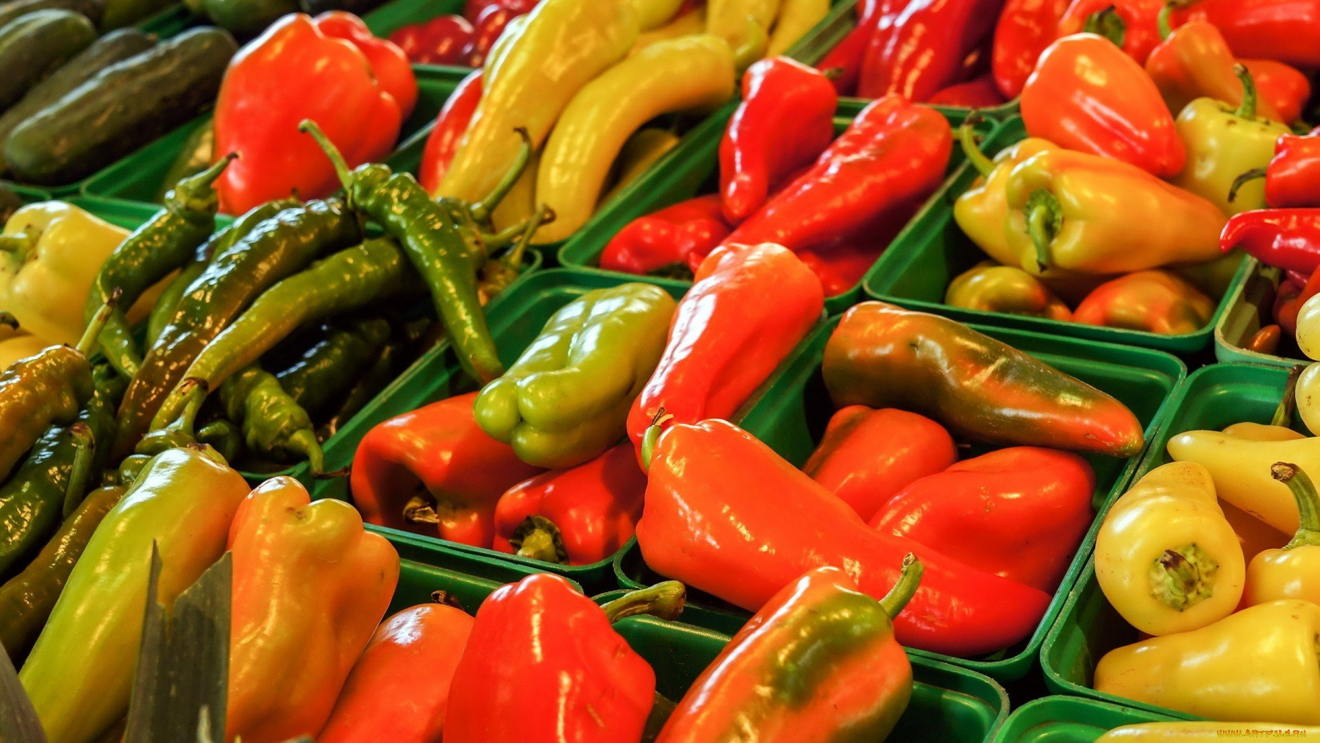 Capsicum annuum ...paprika